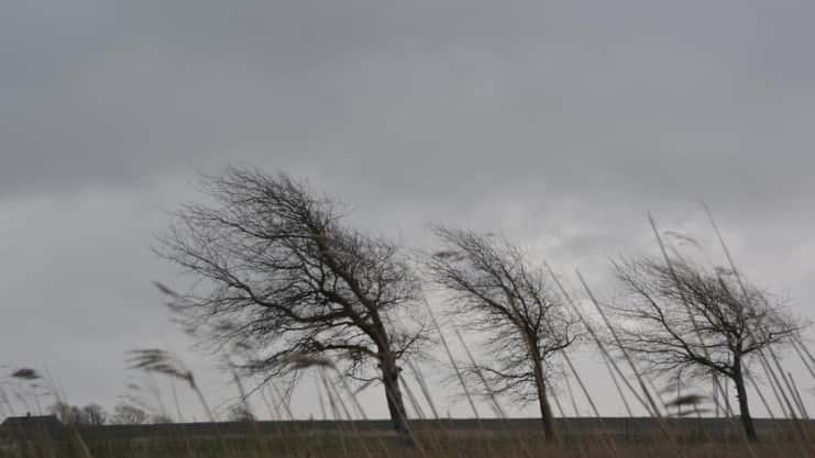 Свердловская область: с 29 декабря — умеренная погода с снегом, к Новому году — морозы до -22°