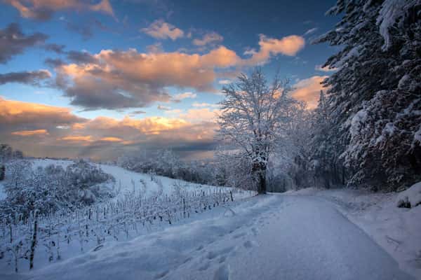 Потепление в Екатеринбурге будет недолгим: морозы вернутся уже на неделе