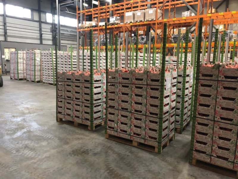 Что везут в Свердловскую область из-за рубежа: итоги проверок Россельхознадзора