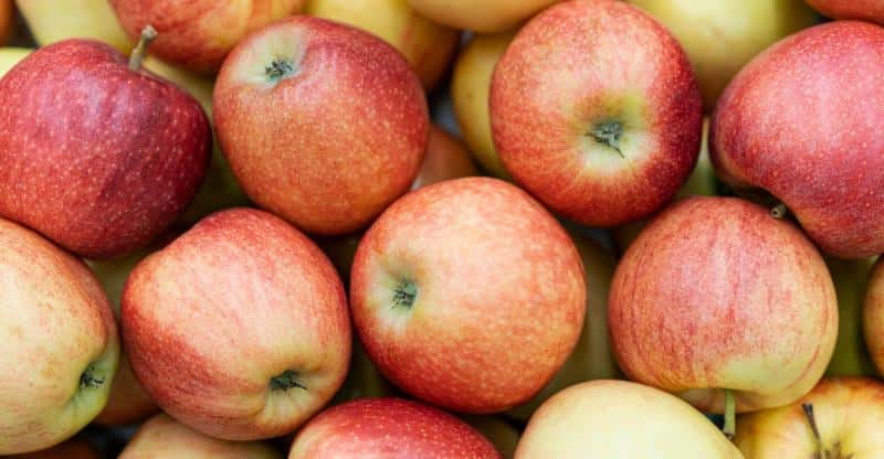 В Екатеринбург без уведомления ввезли 8 тонн яблок — Россельхознадзор вынес предупреждение