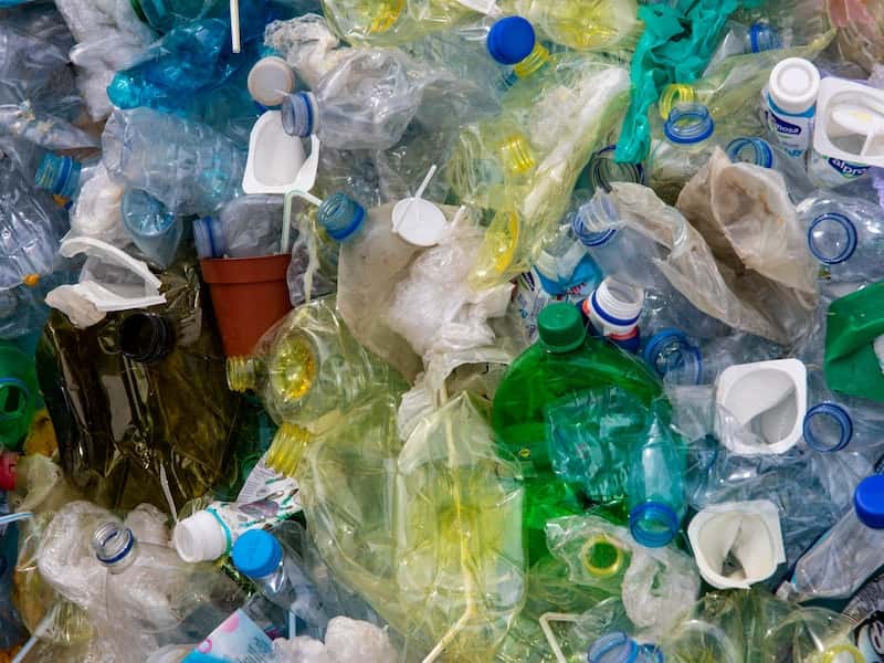 На Урале женщина кормила маленькую девочку из мусорного бака