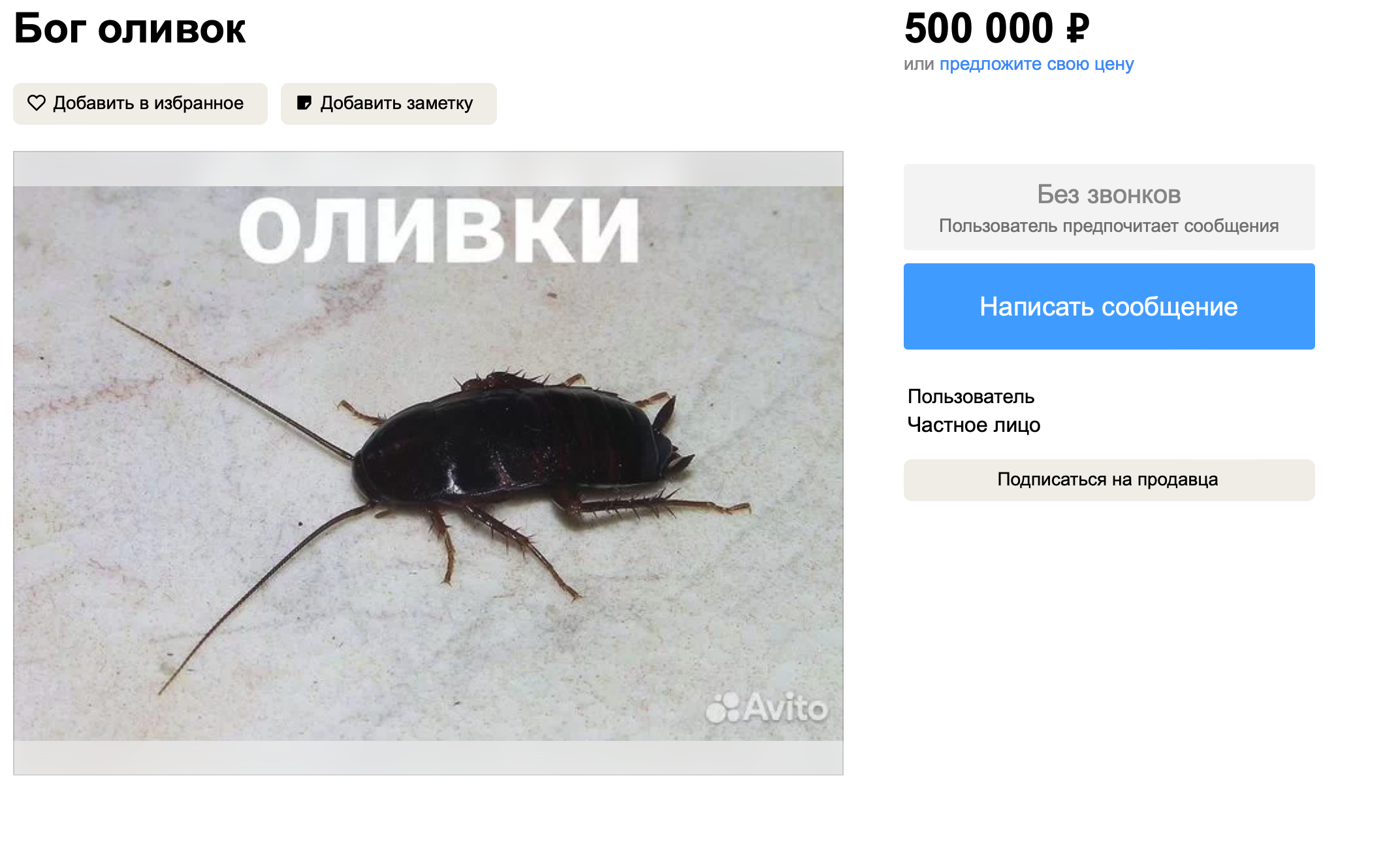 Креативные предложения на Авито: Необычные товары и услуги для уральцев Креативные предложения на Авито: Необычные товары и услуги для уральцев