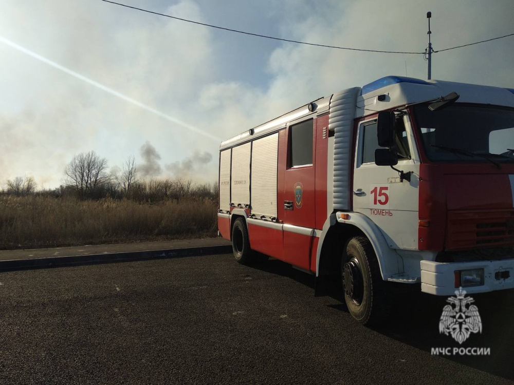 В Тюменской области к водной стихии добавилась огненная  | В Тюмени на Велижанском тракте тушат травяной пожар 
