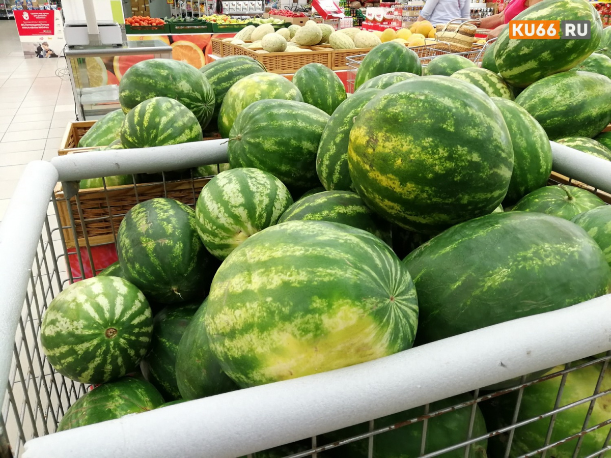В Екатеринбург завезли первые арбузы из Ирана на две недели раньше обычного | На Урале появились первые арбузы