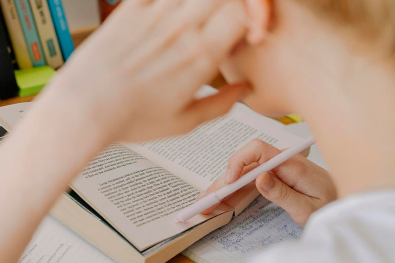 30 выпускников из Челябинска сдали ЕГЭ на 100 баллов | В Челябинске на ЕГЭ насчитали уже 30 стобалльников