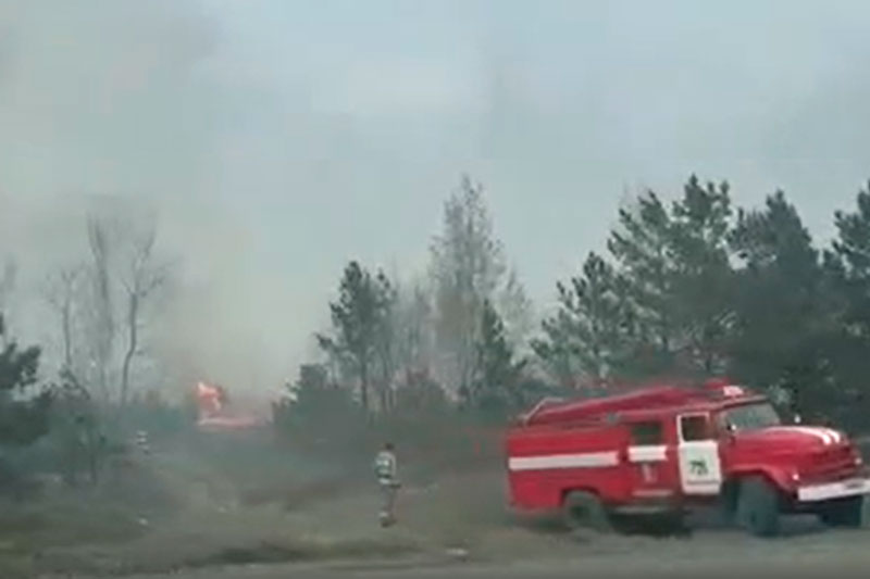 О лесных пожарах можно сообщить через приложение «Берегите лес» для Android