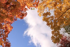 Успевайте! Бабье лето в Екатеринбурге всего на неделю