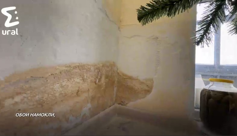 Жильцы элитного тюменского ЖК жалуются на застройщика и чёрную плесень Жильцы элитного тюменского ЖК жалуются на застройщика и чёрную плесень