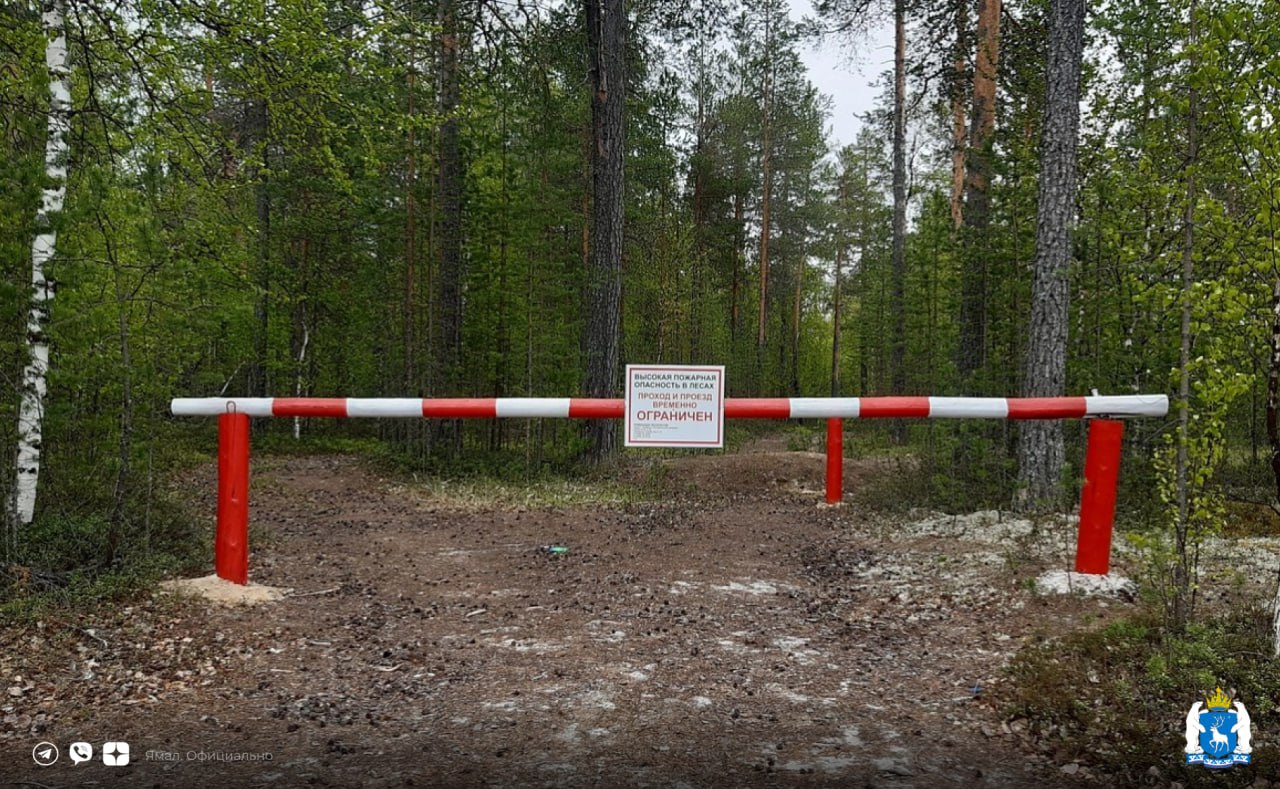На Ямале введено ограничение на въезд и пребывание в лесах