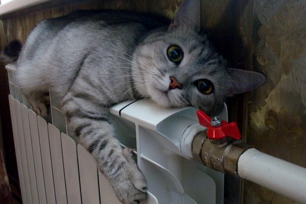 Навстречу теплу. Когда потеплеют батареи в Екатеринбурге? Навстречу теплу. Когда потеплеют батареи в Екатеринбурге?