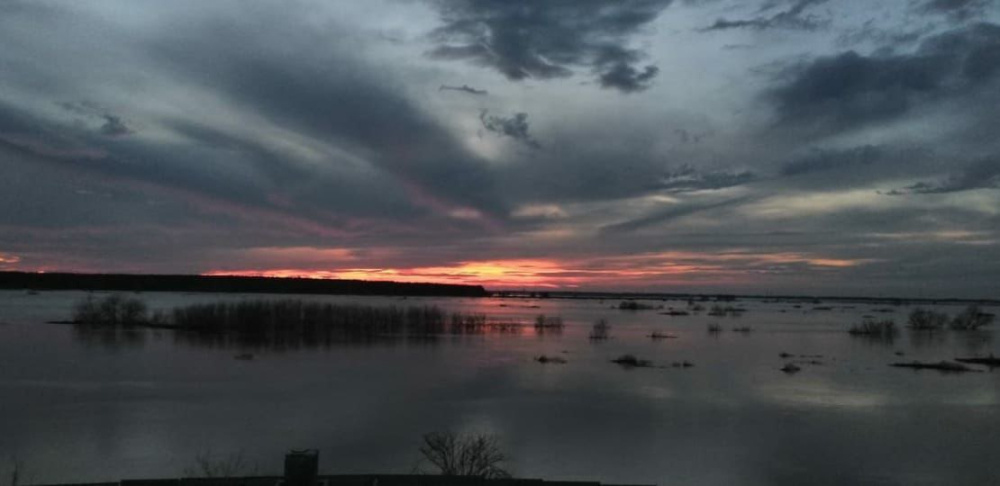 В Курганской области вода затопила 2090 домов и пять мостов  | МЧС России раскрыло новые данные о наводнении в Курганской области 