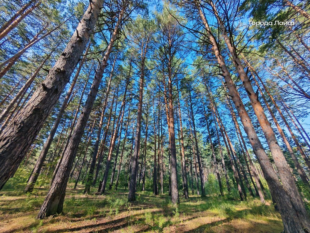 Свердловские предприятия отправили в Афганистан 2100 кубометров лесоматериалов  | С Урала в Афганистан увезли 2,1 тысячи кубометров стройматериалов 