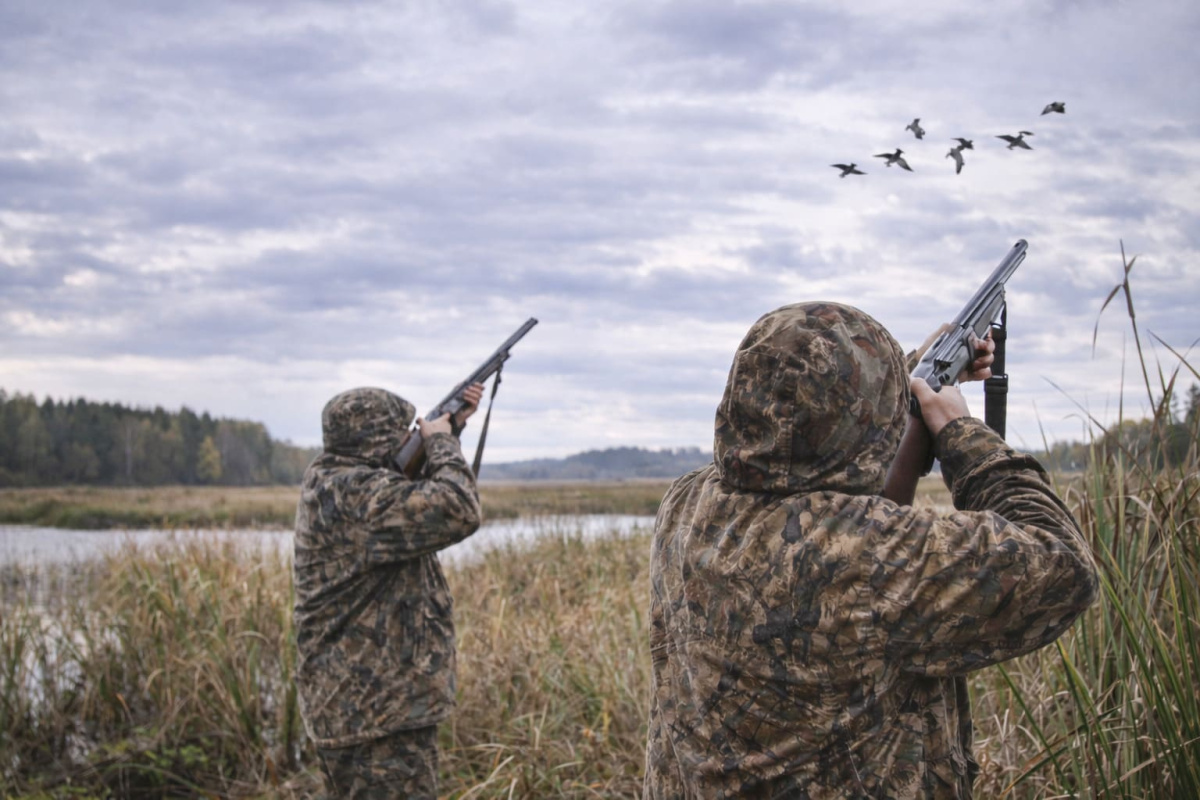 Весенняя охота-2026 в Свердловской области: точные сроки и нормы добычи по югу и северу региона | Когда открывается весенняя охота в Свердловской области в 2026 году