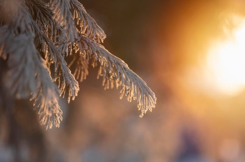 Уральцев ждут морозные ночи и оттепель  | В регионах Урала ожидаются холодные ночи 