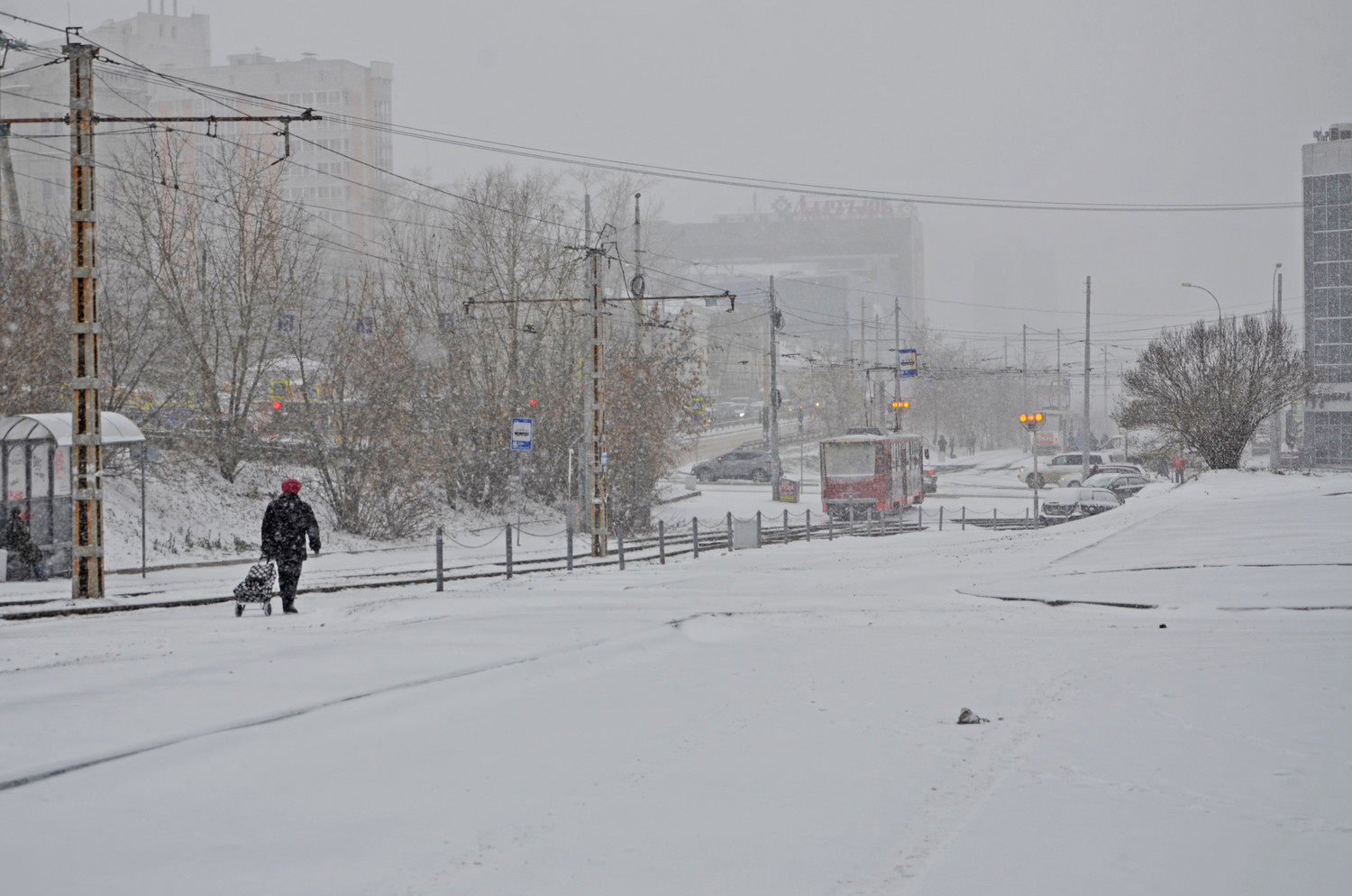 В Свердловской области прогнозируется аномально-холодная погода