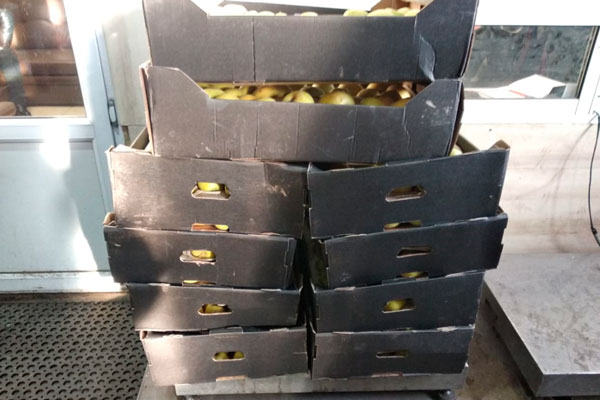 В Свердловской области уничтожено около 700 кг запрещенной к ввозу в Россию продукции