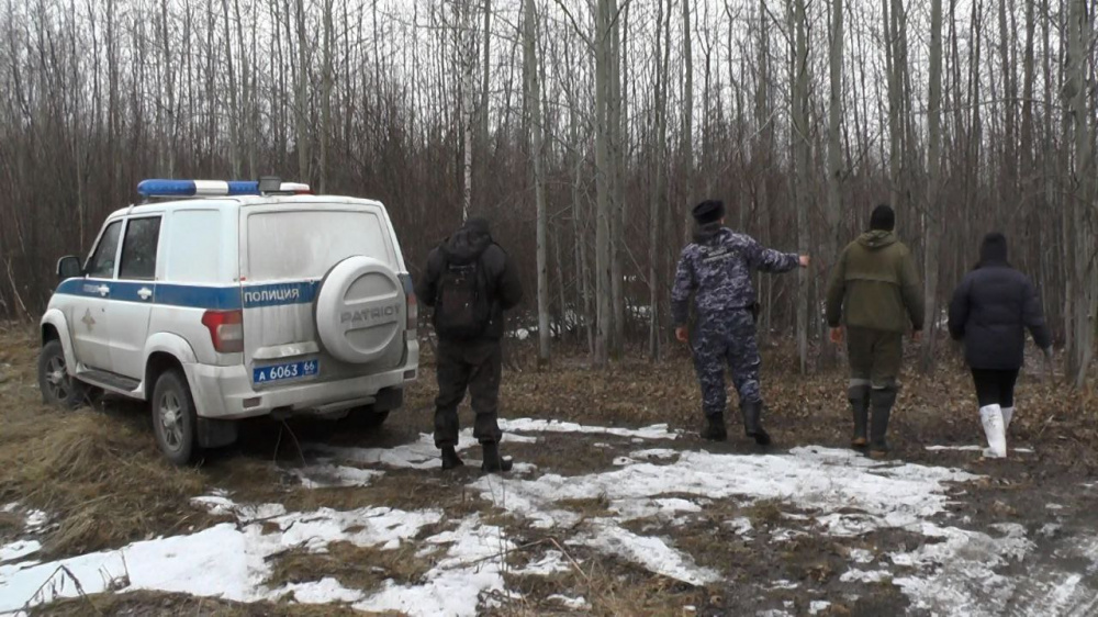 Растащили дикие звери? Что известно о найденной в Серове женской голове  | Полиция прокомментировала историю с найденной на Урале головой женщины