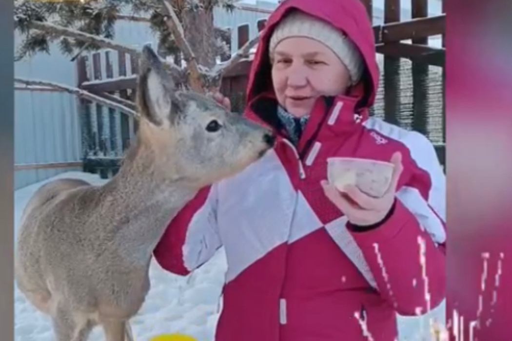 Фонд супругов из Свердловской области опекает более ста диких животных