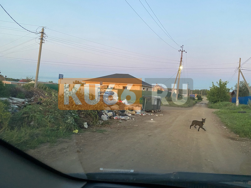 Под Каменском-Уральским люди задыхаются от мусорки | На Урале жители деревни требуют убрать помойку из-под носа