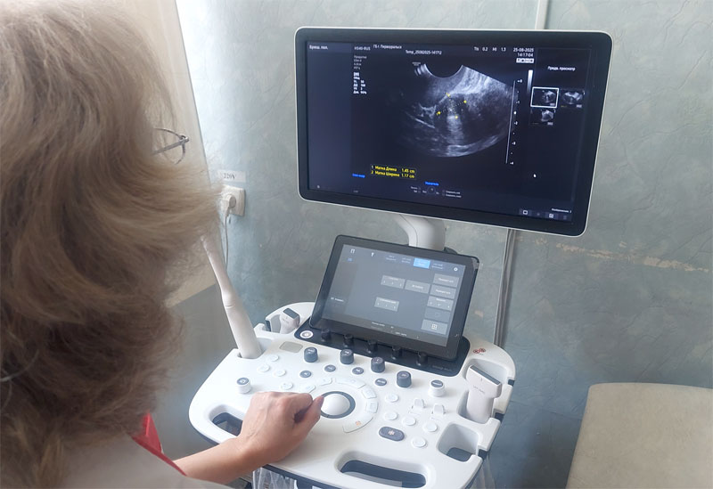 В Свердловской области пары с бесплодием пройдут углублённое генетическое исследование | Проректор УГМУ Оксана Мелкозерова рассказала о проекте «Репродуктивная генетика»