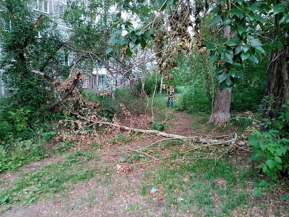 Жители Первоуральска жалуются на неухоженные дворы