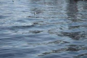 В Перми ночью утонул мужчина