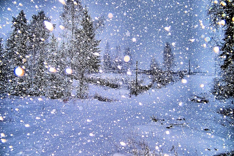 В Пермский край идут снегопады