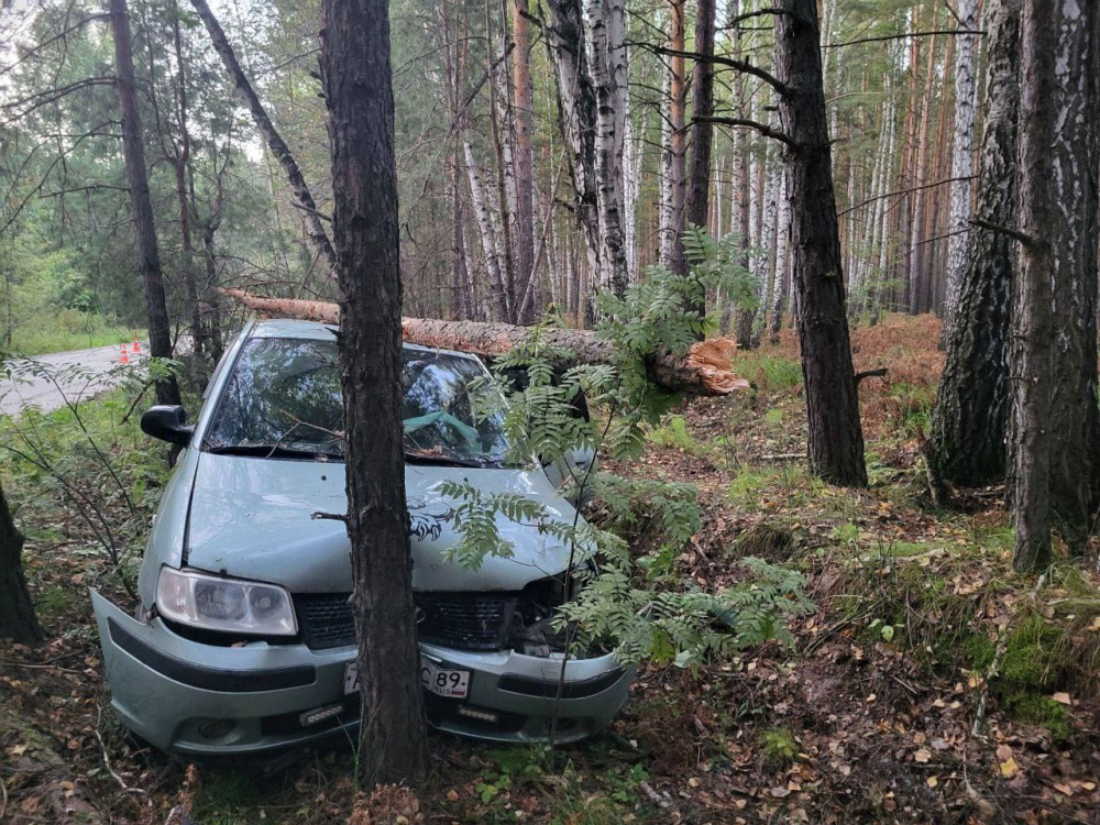 В Тюменской области водитель погиб на дороге к кладбищу  | На дороге к кладбищу под Тюменью погиб водитель 