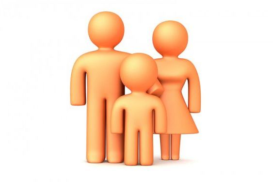 Дела семейные. Утверждена государственная концепция