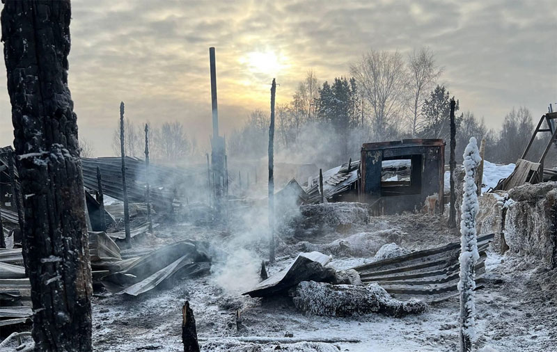 Огонь уничтожил конюшню и всех лошадей: подробности трагедии | Пожар уничтожил конюшню «Добрый конь» и 15 лошадей