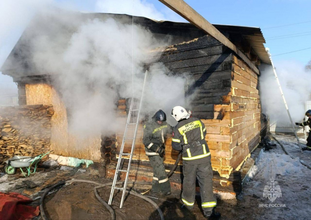 Семилетняя девочка спасла младенца — в Зауралье три ребёнка погибли на пожаре  | В Курганской области в пожаре погибли три маленьких мальчика 