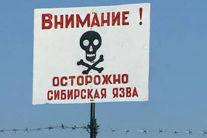 В Свердловской области найдены бесхозные скотомогильники с сибирской язвой