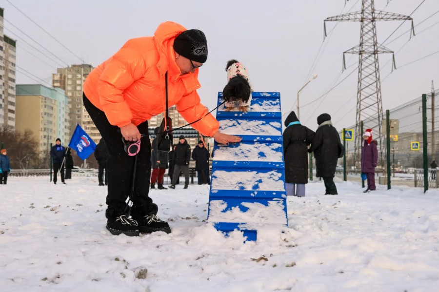 Новая площадка для выгула собак в Екатеринбурге: зоны для крупных и мелких пород, оборудование и тамбур | В Екатеринбурге открыли крупнейшую площадку для выгула собак