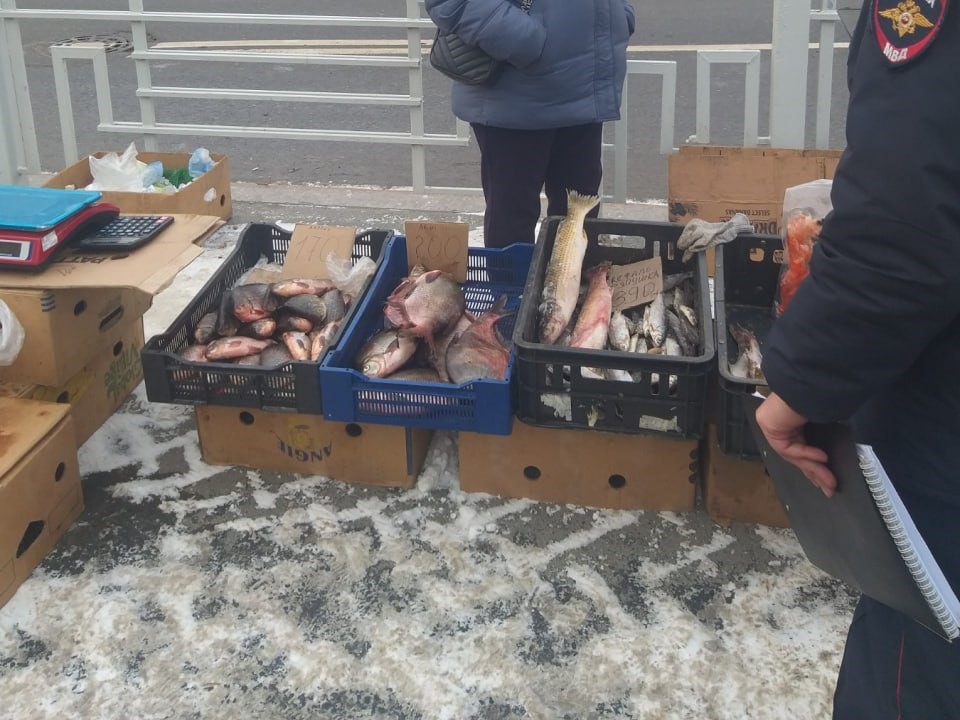 Рыбу и орехи изъяли в Тюмени в местах нелегальной торговли  | В Тюмени у нелегальных торговцев изъяли орехи и рыбу 