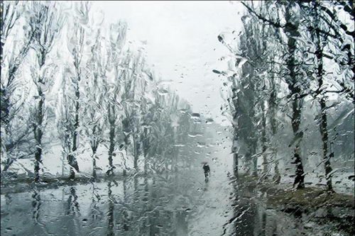 В Свердловскую область идут сильные дожди