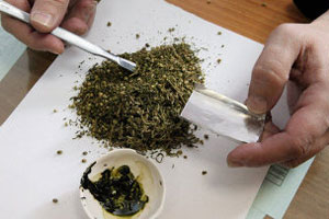 В Сургуте полицейскими выявлены два факта незаконного оборота наркотиков