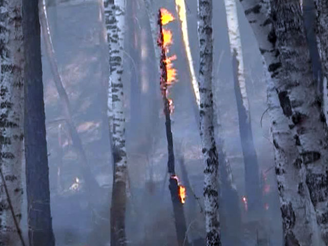 Лесные пожары атаковали Иркутскую область: некоторые поселки могут выгореть полностью Лесные пожары атаковали Иркутскую область: некоторые поселки могут выгореть полностью