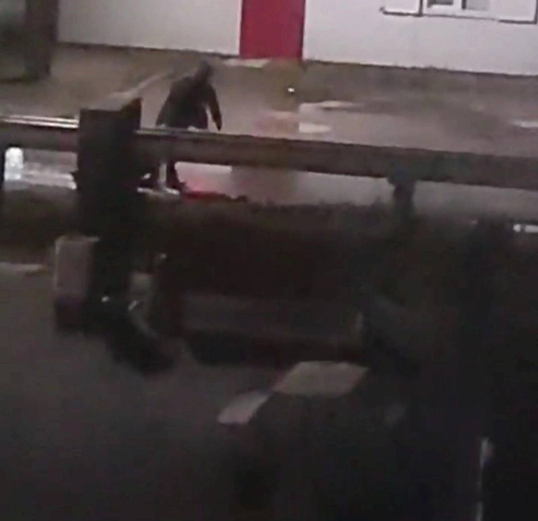 На Урале неизвестный жестоко расправился с собакой и выкинул ее в мусорку На Урале неизвестный жестоко расправился с собакой и выкинул ее в мусорку