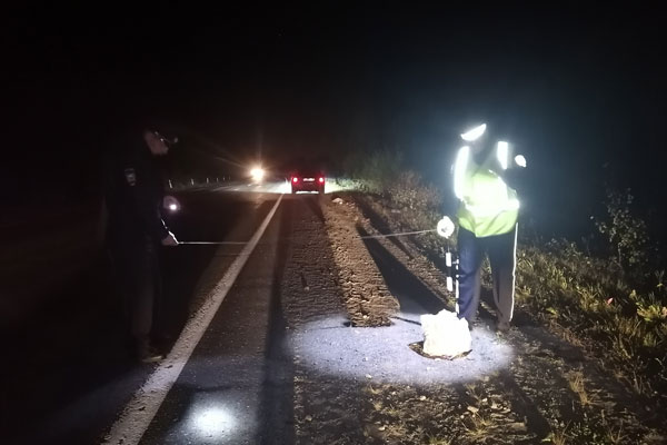 В Свердловской области на трассе неизвестный сбил 70-летнюю женщину-пешехода и скрылся с места ДТП В Свердловской области на трассе неизвестный сбил 70-летнюю женщину-пешехода и скрылся с места ДТП