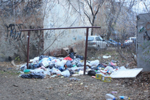 Крысы и собаки атаковали центр Екатеринбурга