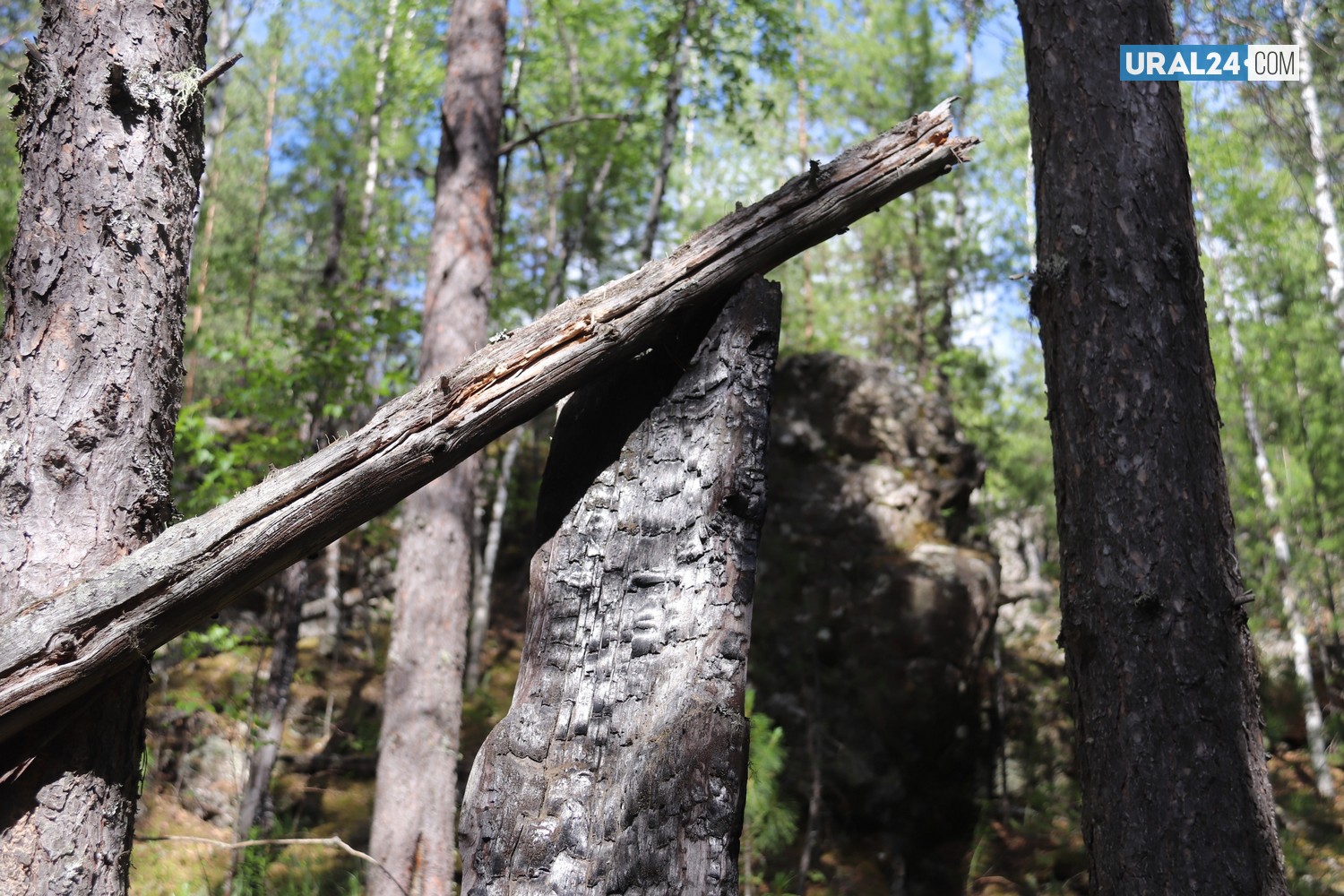 Природные пожары — на подступах к Екатеринбургу. Одни туристы подожгли, а другие тушат горящую траву у озера Песчаное