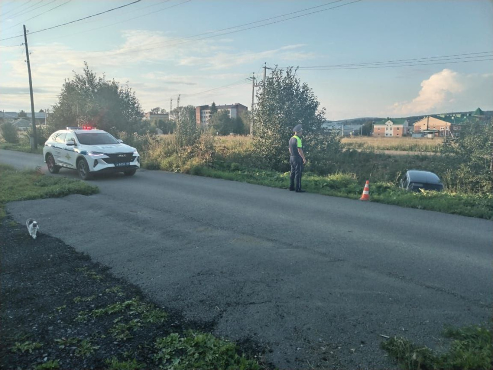 Трагедия в Шале: "Нива" покатилась с уклона и задавила свою владелицу | На Урале автомобиль без тормоза задавил свою хозяйку