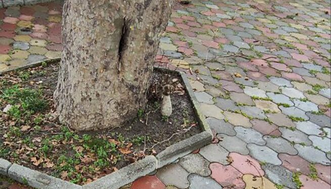 Обнаружена мина времен Великой Отечественной войны на территории аквапарка в Сочи Обнаружена мина времен Великой Отечественной войны на территории аквапарка в Сочи