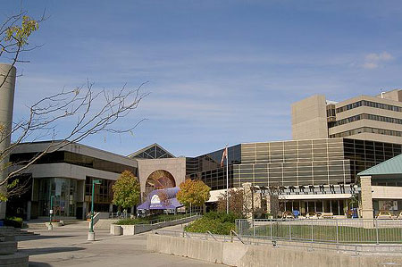 Ученые из Канады научились читать мысли