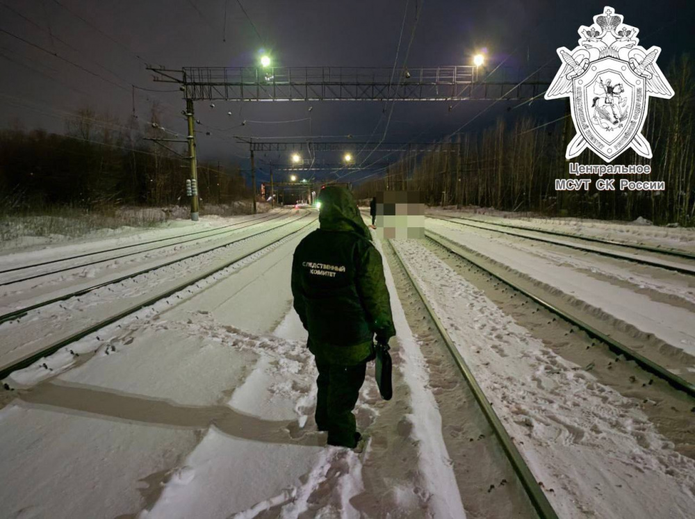 В Пермском крае устанавливаются детали гибели мужчины на железной дороге | В Прикамье поезд задавил мужчину на станции 