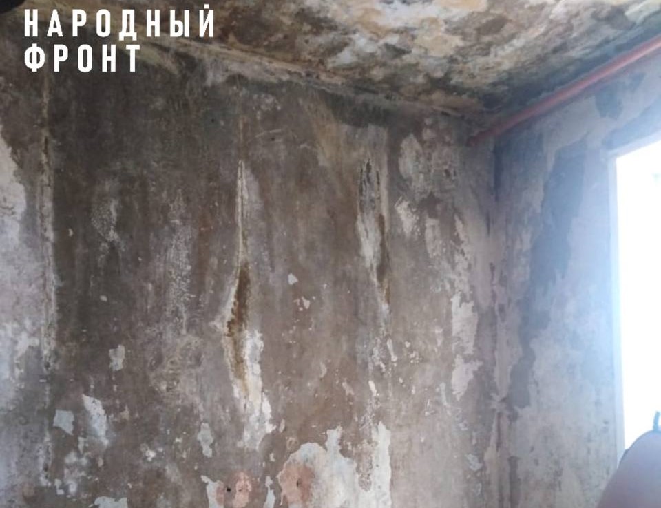 Сирота из Троицка вынужден жить в заплесневелой квартире | В Челябинской области сирота получил квартиру с плесенью Сирота из Троицка вынужден жить в заплесневелой квартире | В Челябинской области сирота получил квартиру с плесенью