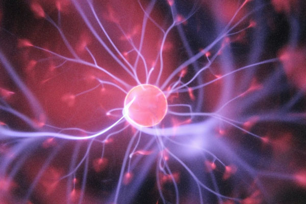 Домашний ДНК-амплификатор от эксперта Гамисонии: диагностика за 40 минут | Эксперт Гамисония рассказала о новом домашнем амплификаторе