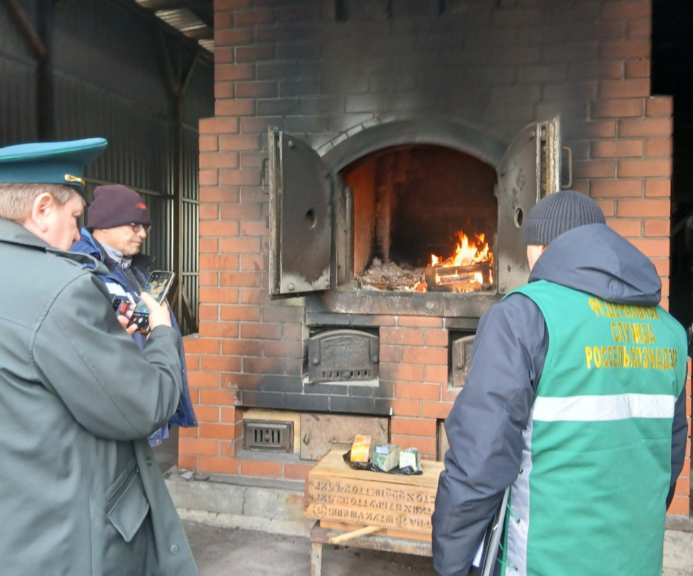 В Челябинске сожгли сыр производства Голландии и Германии  | Сыр из Германии и Голландии сожгли в Челябинске 