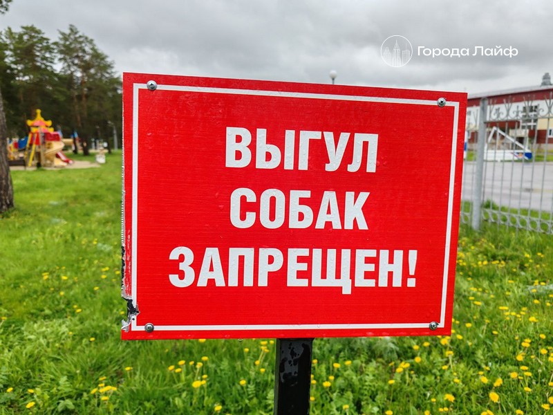 В Екатеринбурге три собаки отравились подозрительными сосисками во дворе | Жители ЖК «Изумрудный бор» в Екатеринбурге обвиняют соседку в отравлении питомцев В Екатеринбурге три собаки отравились подозрительными сосисками во дворе | Жители ЖК «Изумрудный бор» в Екатеринбурге обвиняют соседку в отравлении питомцев
