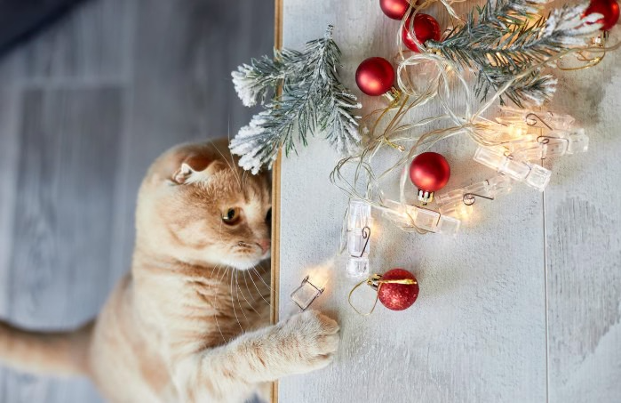 Диффузоры и ароматизаторы опасны для питомцев: ветеринар предупредил о риске аллергии и отравлений | Ветеринар Шеляков рассказал, чем опасны освежители воздуха для домашних животных